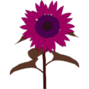 download Sunflower clipart image with 270 hue color
