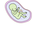 download Human Embryo clipart image with 45 hue color