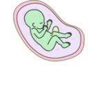 download Human Embryo clipart image with 90 hue color