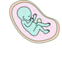 download Human Embryo clipart image with 135 hue color