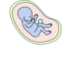 download Human Embryo clipart image with 180 hue color