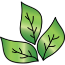 Leaf Icon