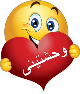 Wa7shyny Smiley Emoticon