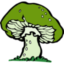 download Big Mushroom clipart image with 45 hue color