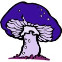 download Big Mushroom clipart image with 225 hue color