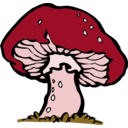 download Big Mushroom clipart image with 315 hue color