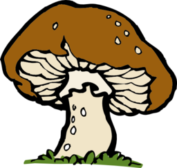 Big Mushroom