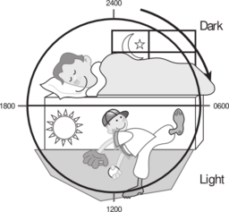 58294main The Brain In Space Page 147 Day N Night