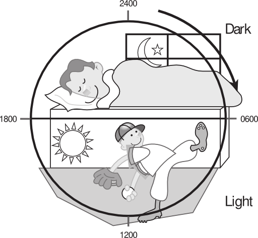 58294main The Brain In Space Page 147 Day N Night