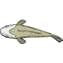 download Fish Top View clipart image with 315 hue color