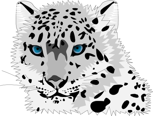 Snow Leopard