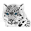 download Snow Leopard clipart image with 0 hue color