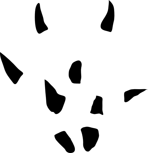 Mouse Footstep Track Front