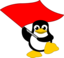 Tux Bandera