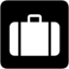 Aiga Baggage Check In Bg