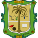 Escudo De Casimiro Castillo