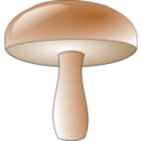 Champignon