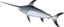 Xiphias Gladius