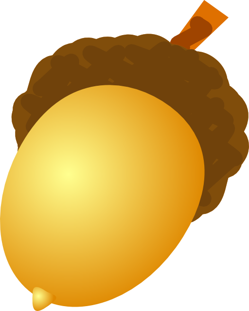 Acorn