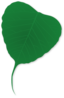 Ginko Leaf