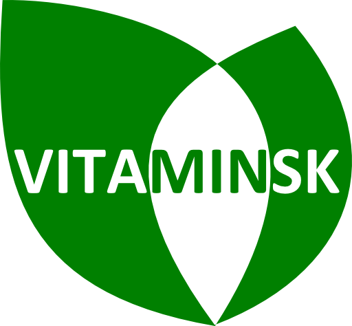 Vita Minsk