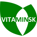 Vita Minsk