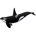 download Orca Matthew Gates R clipart image with 90 hue color