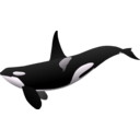 download Orca Matthew Gates R clipart image with 180 hue color