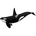 download Orca Matthew Gates R clipart image with 270 hue color