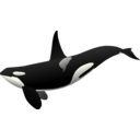 download Orca Matthew Gates R clipart image with 315 hue color