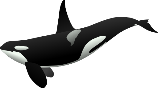 Orca Matthew Gates R