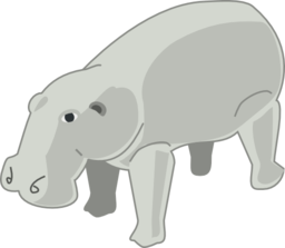 Hippopotamus