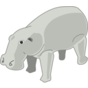 Hippopotamus