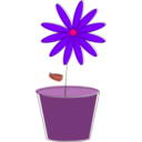 download Flower clipart image with 270 hue color