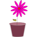 download Flower clipart image with 315 hue color