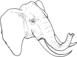 Elephant Line Art