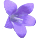 download Flower 03 clipart image with 0 hue color