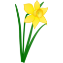 download Daffodil clipart image with 0 hue color