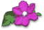Flower1