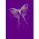 download Bright Butterfly clipart image with 45 hue color