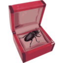 download Beetle In A Box clipart image with 315 hue color