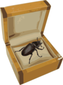 Beetle In A Box