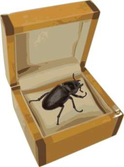 Beetle In A Box