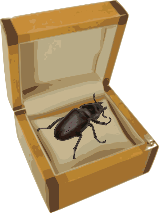 Beetle In A Box