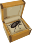 Beetle In A Box