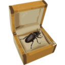 Beetle In A Box