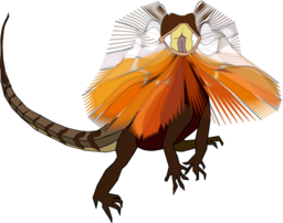 Frill Necked Lizard Dragon