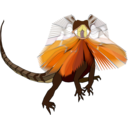 Frill Necked Lizard Dragon