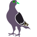 download Pigeon clipart image with 90 hue color