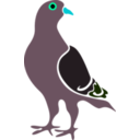 download Pigeon clipart image with 135 hue color